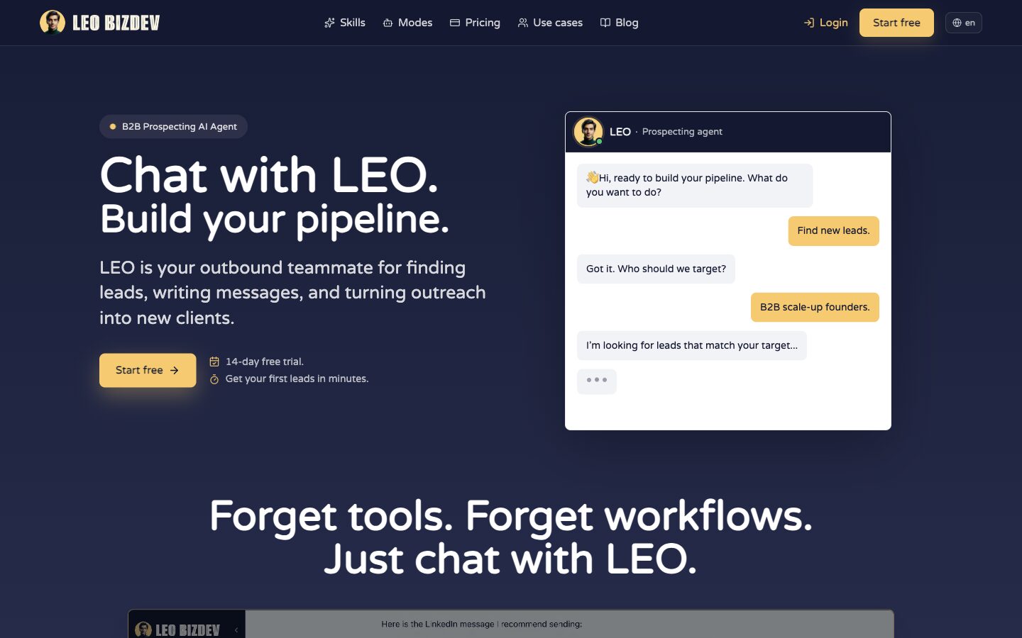 Page d'accueil du site de Leo BizDev